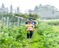 旅游传媒村跑首度跑进长三角
